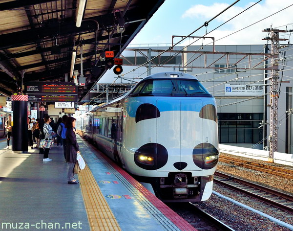 Kuroshio Panda Train