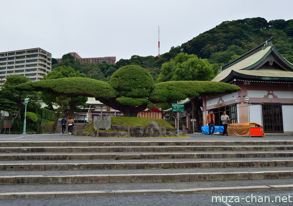 Terukuni Shrine Kagoshima