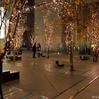 Tokyo Marunouchi Winter Illuminations