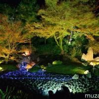 Kyoto Hogon-in autumn illumination