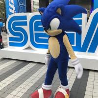 Sonic the Hedgehog in Akihabara