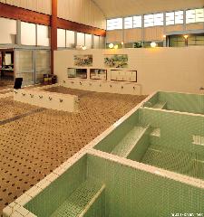 Sento Bathing Area