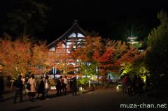 Kyoto Eikando autumn illumination