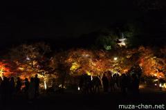 Eikando Tahoto autumn illumination