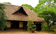 Japanese thatched roofs