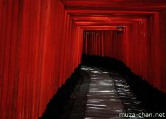Lights and shadows at Fushimi Inari