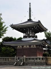 Tahoto pagoda at Gokoku-ji