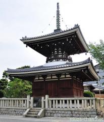 Tahoto pagoda at Gokoku-ji