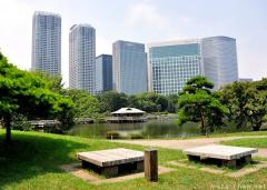 Special Places of Scenic Beauty, Hama-rikyu Gardens