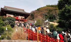 Hatsumode crowd in Kamakura