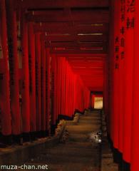 The most beautiful Torri path in Tokyo