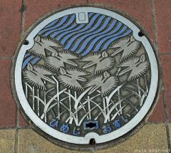 About Japan from... manhole covers, Himeji orchid