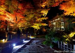 Kyoto Hogon-in colorful autumn illumination
