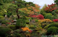 Sakata Honma garden