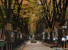 Jozenji street in autumn