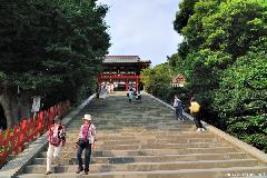 Temple Stairs in Kamakura