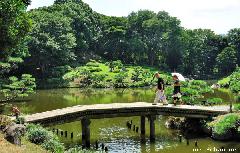Kiyosumi Teien Gardens