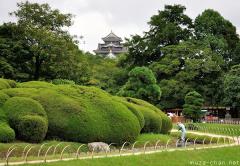 Okayama Castle towering over the Korakuen Garden
