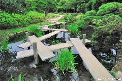 Japanese Gardens, Okayama Koraku-en