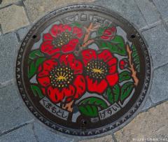 About Japan from... manhole covers, Kumamoto Higo Camellia