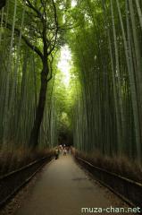 Kyoto Arashiyama bamboo grove