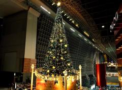 Merry Christmas! Kyoto Station Christmas Tree