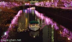 Tokyo Winter Illuminations, Meguro River 