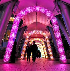 Tokyo Christmas Illuminations, Tokyo Dome City Milky Way travel tip