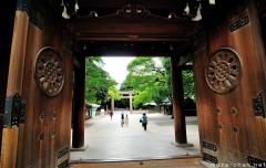 Visiting Tokyo, Through the gate of Meiji Jingu