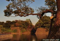 Nagoya castle in autumn sunset colors