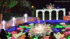 Namba Parks Winter Illumination, A Journey of Searching for Super Flower