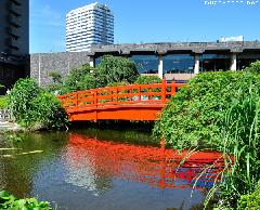 Taiko Bridge and Old Carps