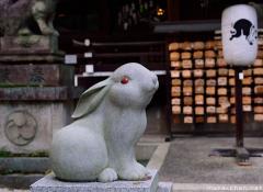 Unlikely Shinto guardians: Rabbits