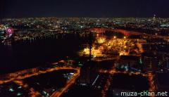 Osaka bird's-eye night view