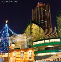 Osaka Prefectural Government Sakishima Building Christmas lights