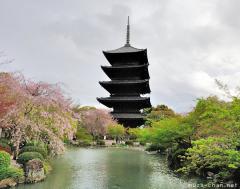 Japanese superlatives, the Tallest Pagoda in Japan