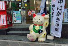 Japanese mascots, Nyanta of Palette Plaza