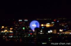 Palette Town Ferris wheel night view