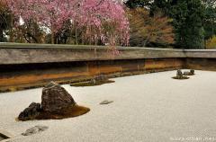 Ryoan-ji's earthen wall