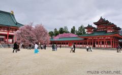 Sakura cherry trees at Heian Jingu Kyoto