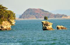 Matsushima Bay Senganjima