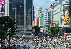 Population density, Shibuya scramble crossing crowd