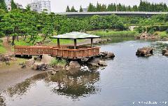 Shinagawa Kumin Park Landscape