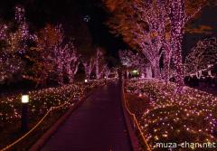 Happy New Year! Shinjuku Southern Terrace pink lights