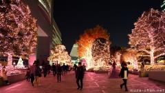 Tokyo Christmas Illuminations, pink lights on the Shinjuku Southern Terrace