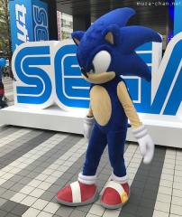 Sonic the Hedgehog in Akihabara
