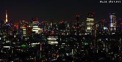 Tokyo Night Lights