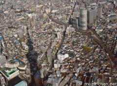 Tokyo Sky Tree's shadow