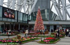 Tokyo Sky Tree Colorful Christmas