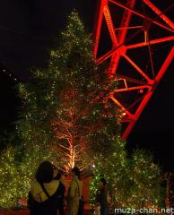 Tokyo Tower Winter Fantasy Orange Illumination